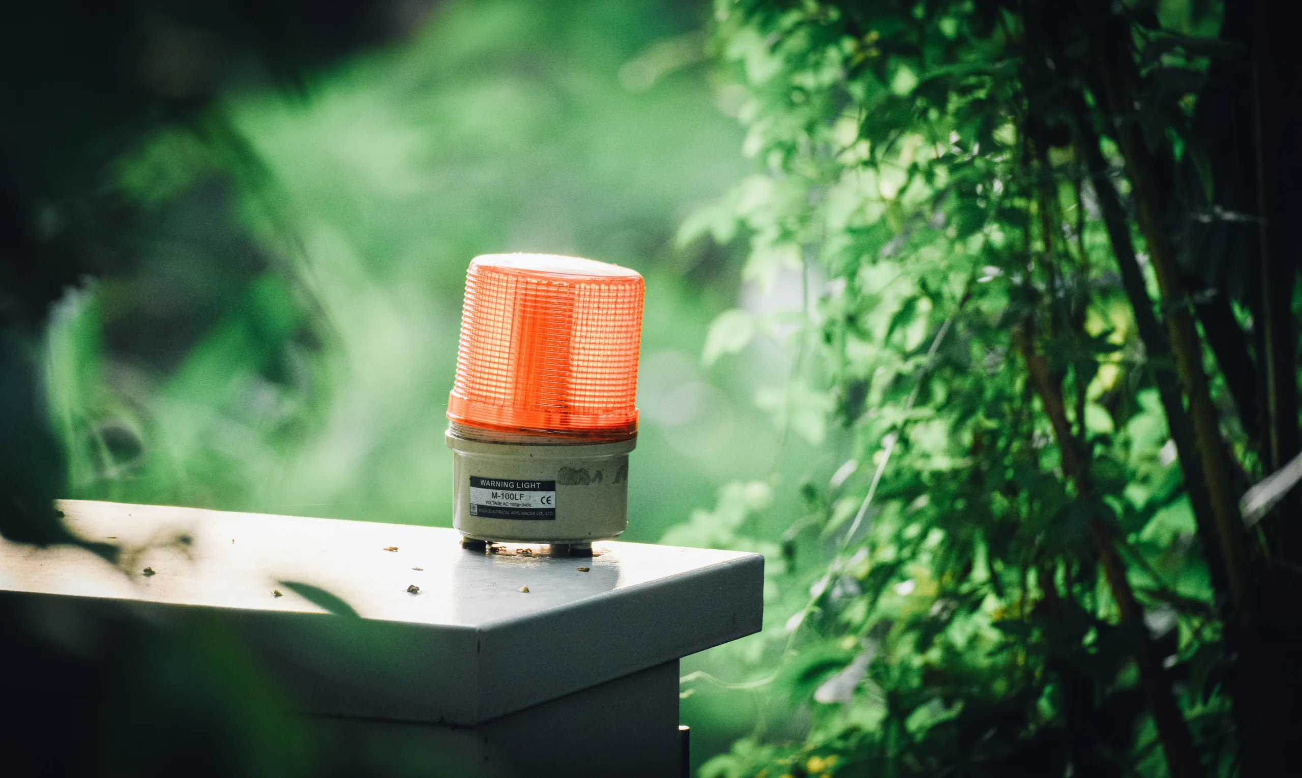 The Importance Of Emergency Kits: What To Include For Wildfires