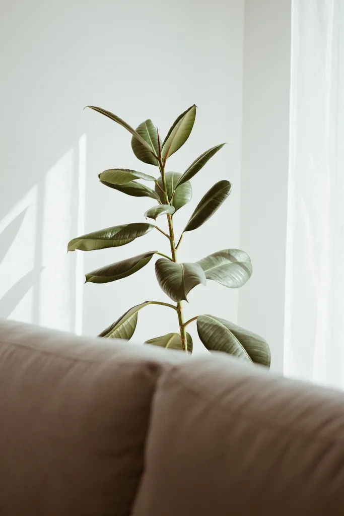 Tips For Maintaining Indoor Air Quality During Wildfire Smoke Events