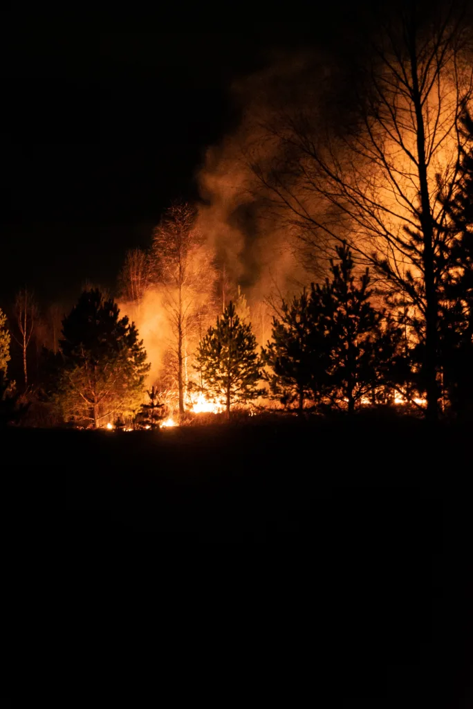 Evaluating The Reliability Of Home Safety Products In Wildfires