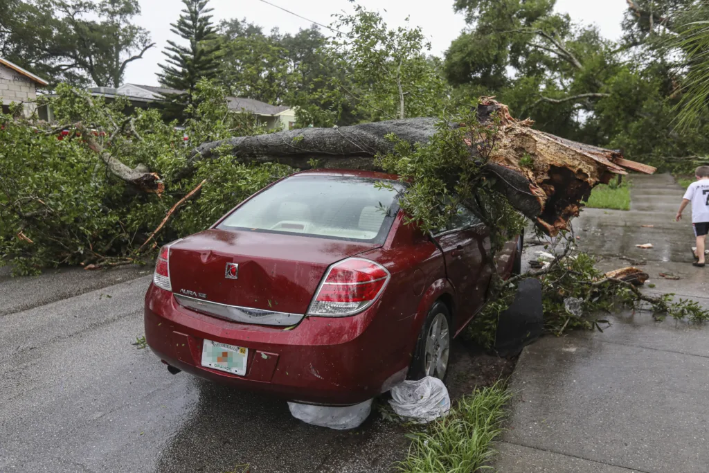 Understanding The Insurance Process After A Natural Disaster