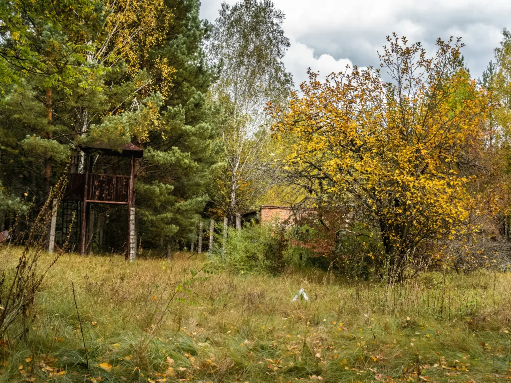 Preparing Your Home for Natural Disasters: A Safety First Approach