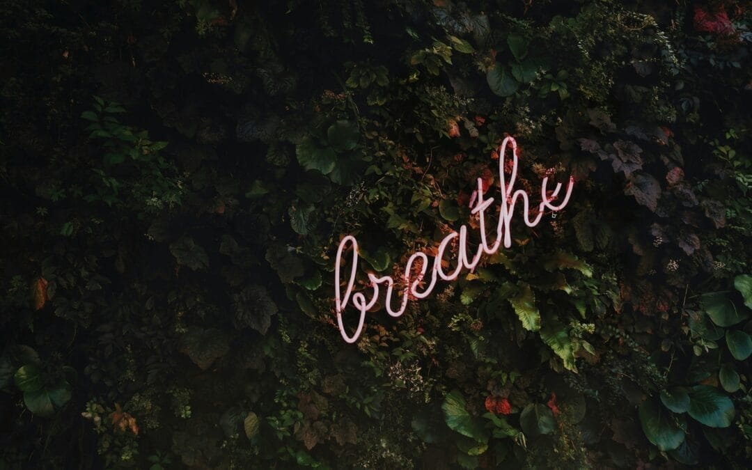 How to Use Breathing Techniques to Reduce Anxiety: A Practical Guide
