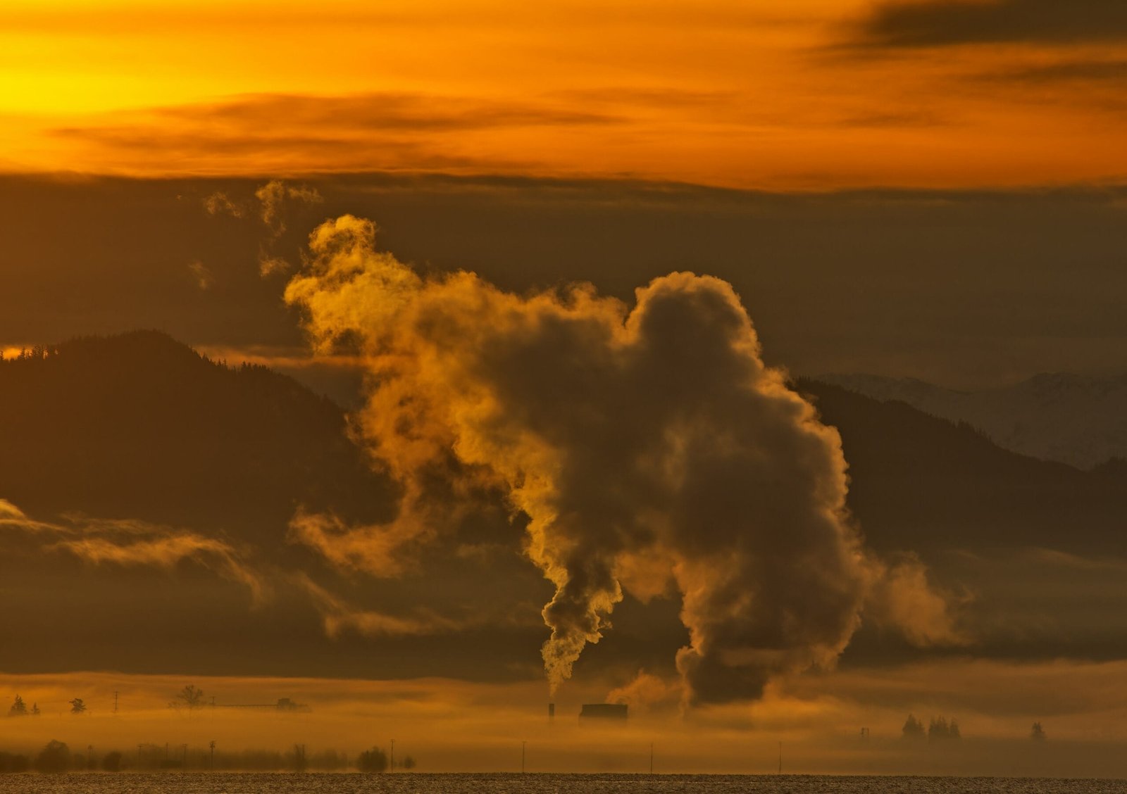 Understanding the Environmental Impact on Respiratory Health