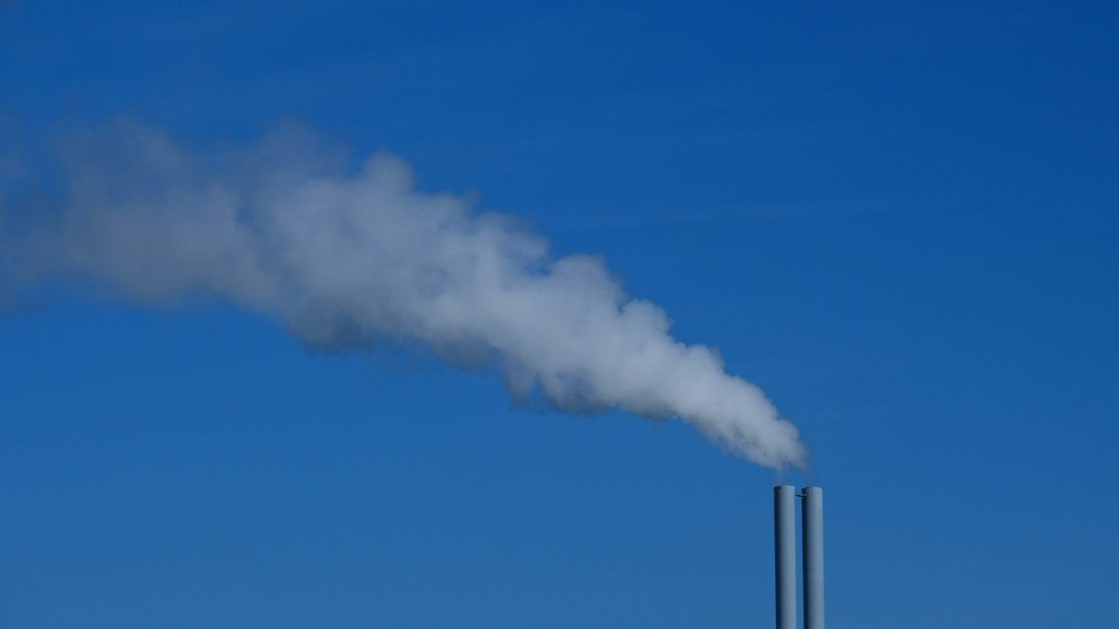 Understanding the Environmental Impact on Respiratory Health