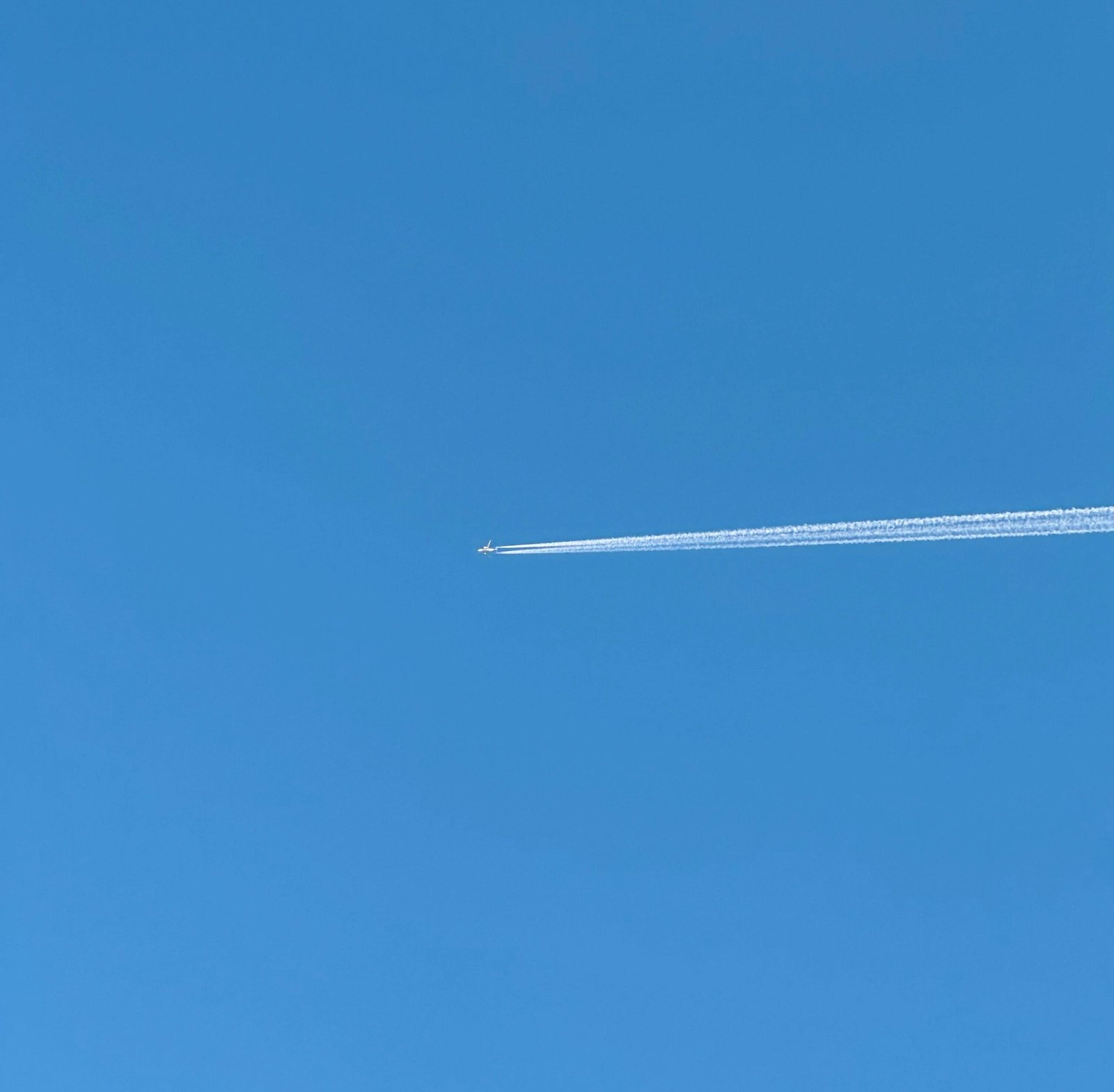 Understanding the Environmental Impact on Respiratory Health