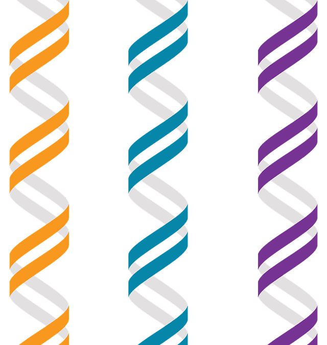 Analyzing Genetic Influences in Preventive Health Strategies