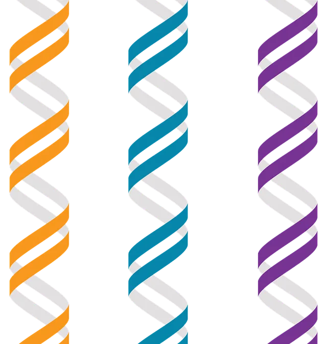Analyzing Genetic Influences in Preventive Health Strategies