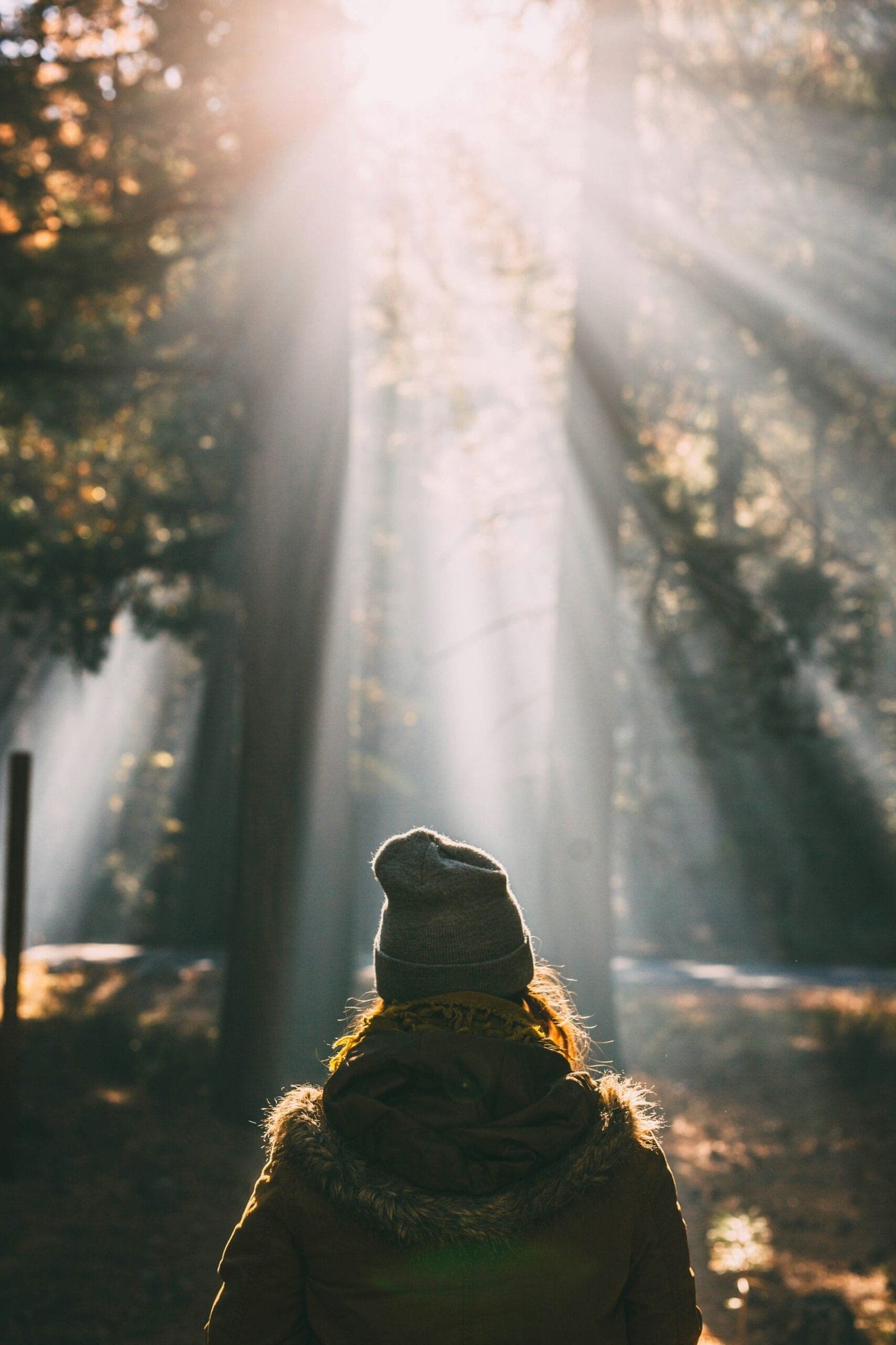 How Exercise Boosts Emotional Wellbeing